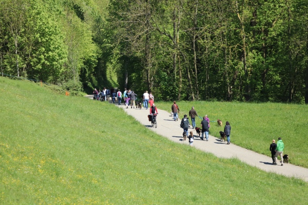 Welpentreffen16.10.jpg