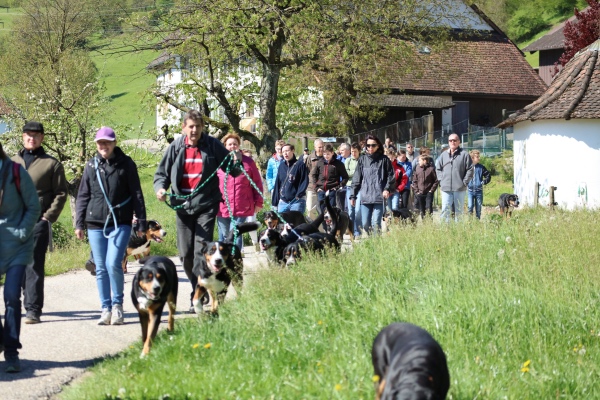 Welpentreffen16.4.jpg